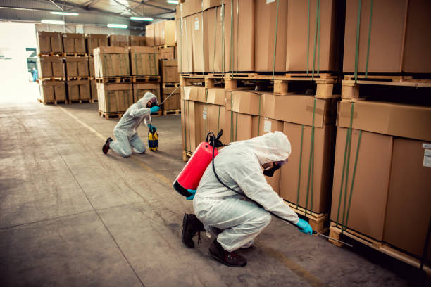 Wasp Removal Services in Green Level, NC