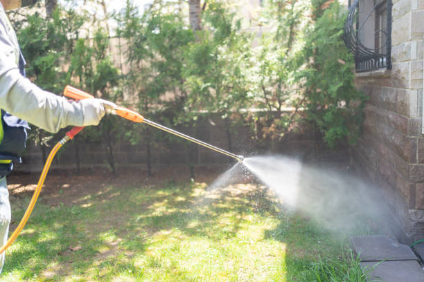 Best Pest Inspection Near Me  in Green Level, NC